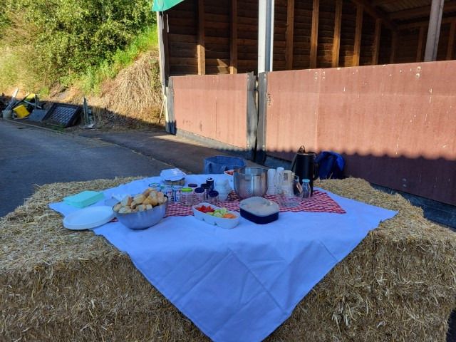 20240626 resized 20240626 resized