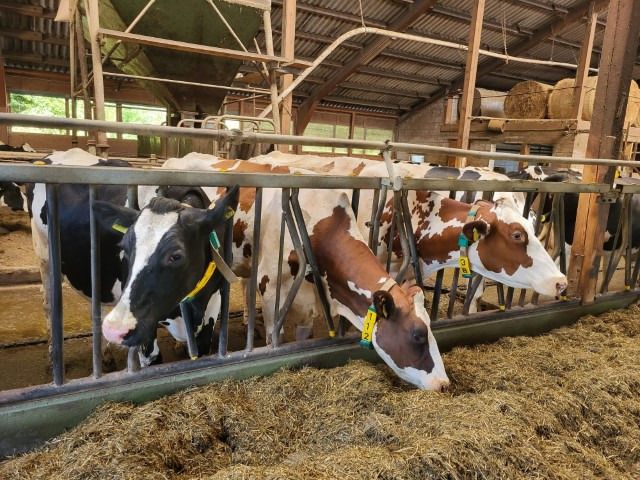 20240626 resized 20240626 resized