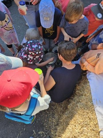 img wa0001 img wa0001