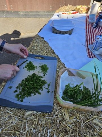 img wa0002 img wa0002