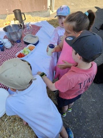 img wa0003 img wa0003