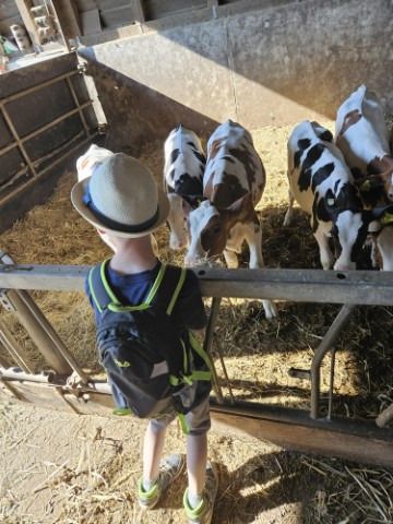 img wa0004 img wa0004