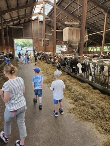 img wa0005 img wa0005